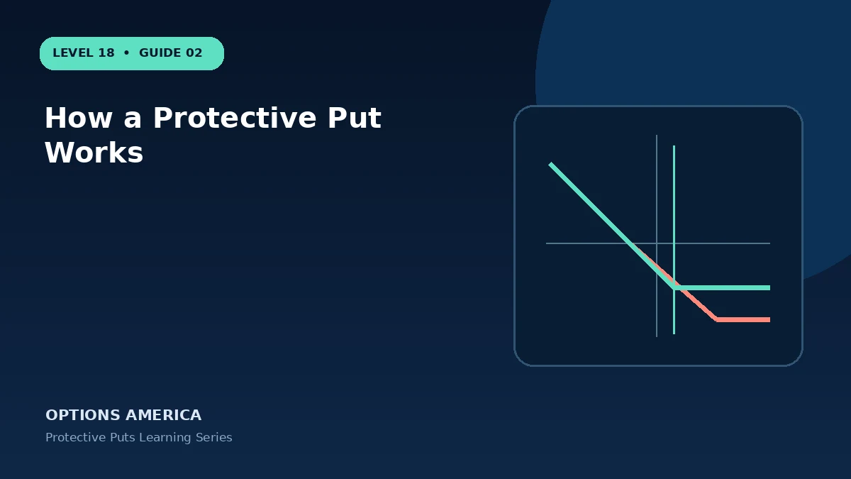How a Protective Put Works
