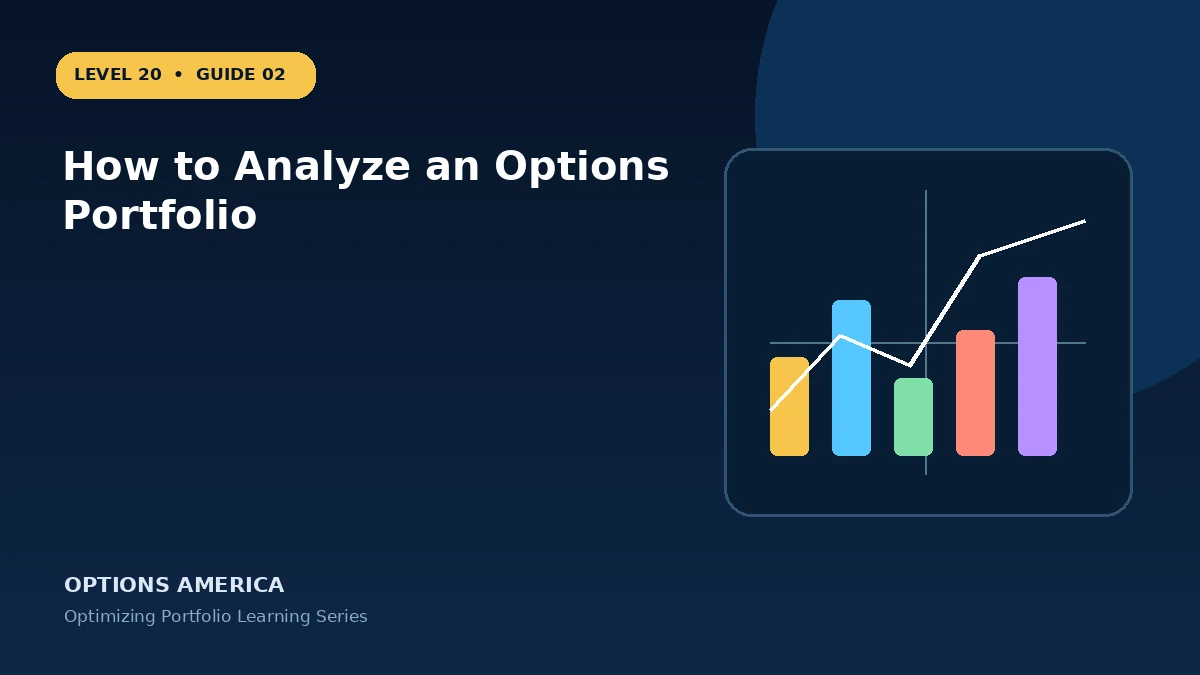 How to Analyze an Options Portfolio