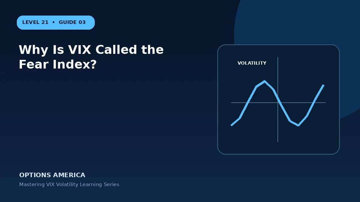 Why Is VIX Called the Fear Index?